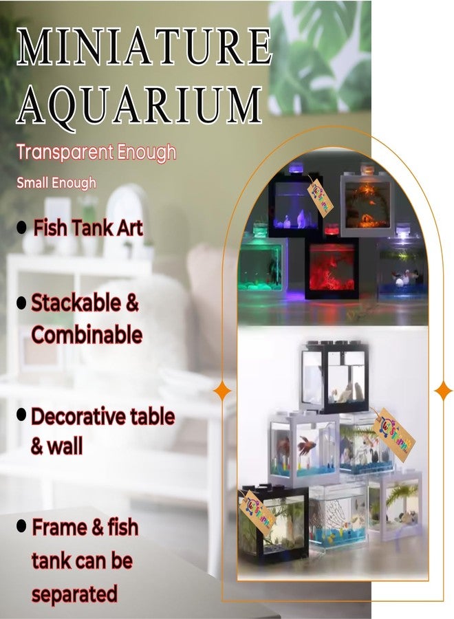 ويستيرن إرا حوض سمك بيتا صغير من ويسترن إيرا - حوض سمك أكريليك صغير الحجم ومتين وسهل التنظيف، مثالي للمساحات الصغيرة مثل المنزل والمكتب، تصميم عصري بسيط وأنيق، لا يحتاج إلى صيانة كبيرة (عبوة من 4 قطع) - Image 2